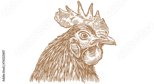 Rooster, chicken, hen head. Vintage retro print, rooster sketch ink pencil style drawing, engrave old school. Sketch artwork silhouette head rooster chicken. Side view profile. Vector Illustration