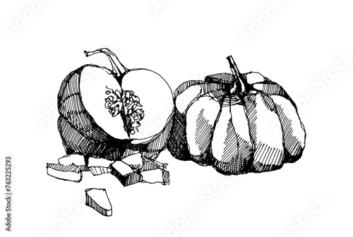 Drawing sketch of two pumpkins