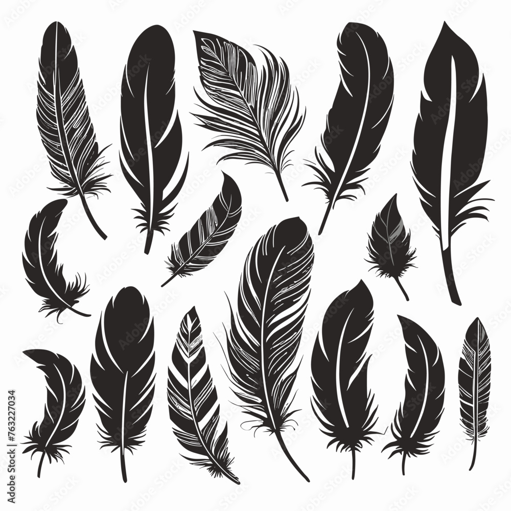 Illustrated collection of various black feather silhouettes, showcasing different shapes and textures on a white background.