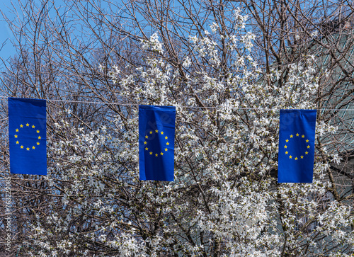 Sarajevo displays EU flags on the streets in hopeful anticipation of accession talks