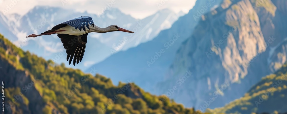 Stork in flight against mountains - obrazy, fototapety, plakaty 