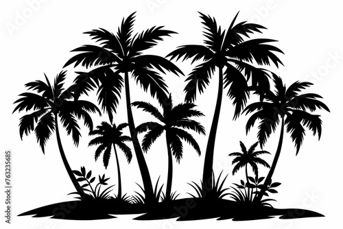 tropical palm trees with leaves, mature and young plants, black silhouettes isolated on white background 