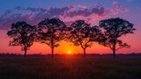 Sunset silhouettes of trees against a colorful sky