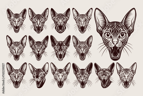 Bundle of drawing meowing oriental shorthair cat head illustration design