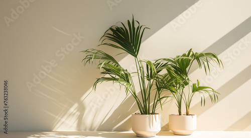 Wallpaper Mural Potted plants on table Torontodigital.ca