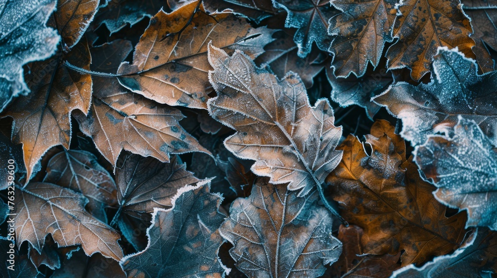 Frost-covered leaves in autumn
