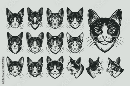 Portrait of hand drawing japanese bobtail cat head illustration design set