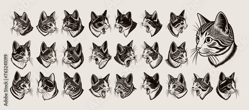 Bundle of hand drawing side view munchkin cat head design vector