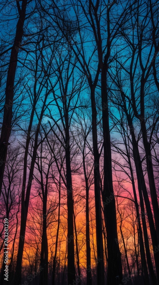 Silhouetted trees against a vibrant sunset sky Silhouetted trees against a vibrant sunset sky