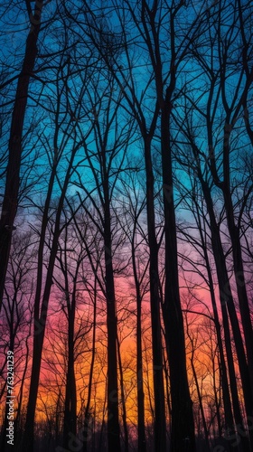 Silhouetted trees against a vibrant sunset sky