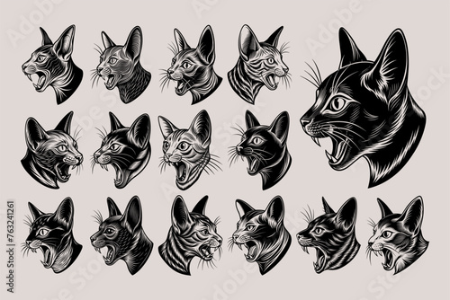 Funny meowing korat cat head in side view silhouette design set