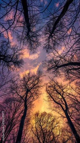 Silhouetted trees against a colorful sunset sky