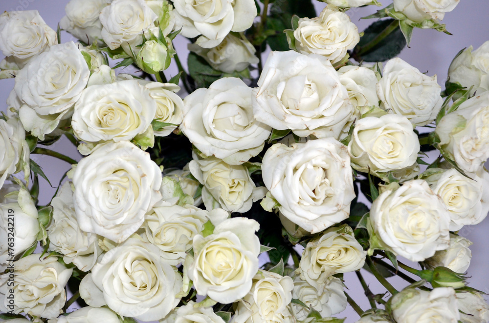 Fototapeta premium White Roses Bouquet. White Roses Background.