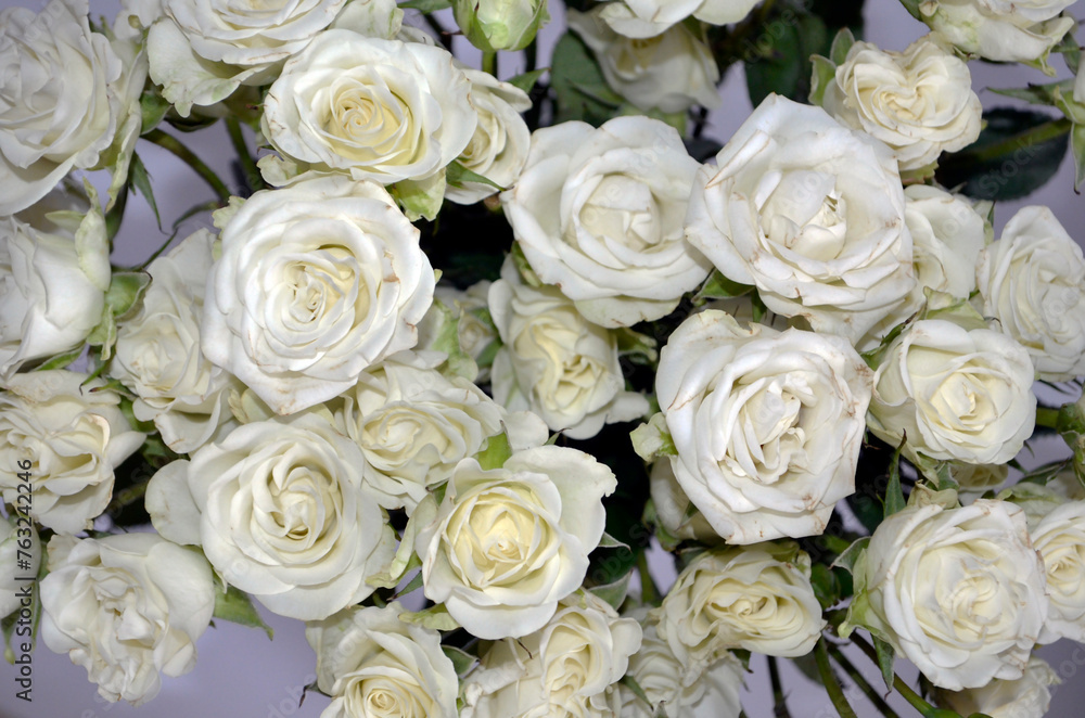 White Roses Bouquet. White Roses Background. White Roses Bouquet. White Roses Background.