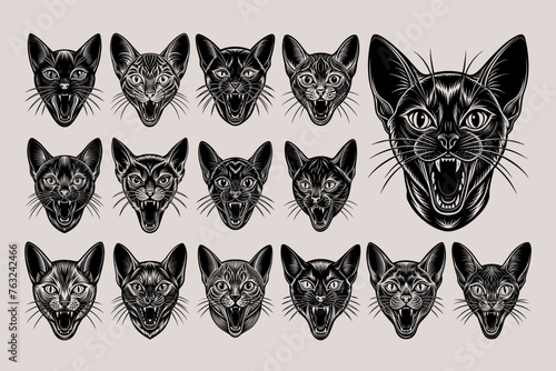 Front view of meowing korat cat head tshirt design bundle