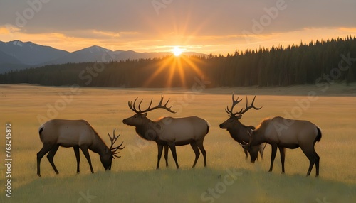 A Group Of Elk Grazing In A Meadow The Sun Settin Upscaled 3 photo