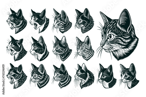 Side view of cute manx cat head illustration design bundle photo