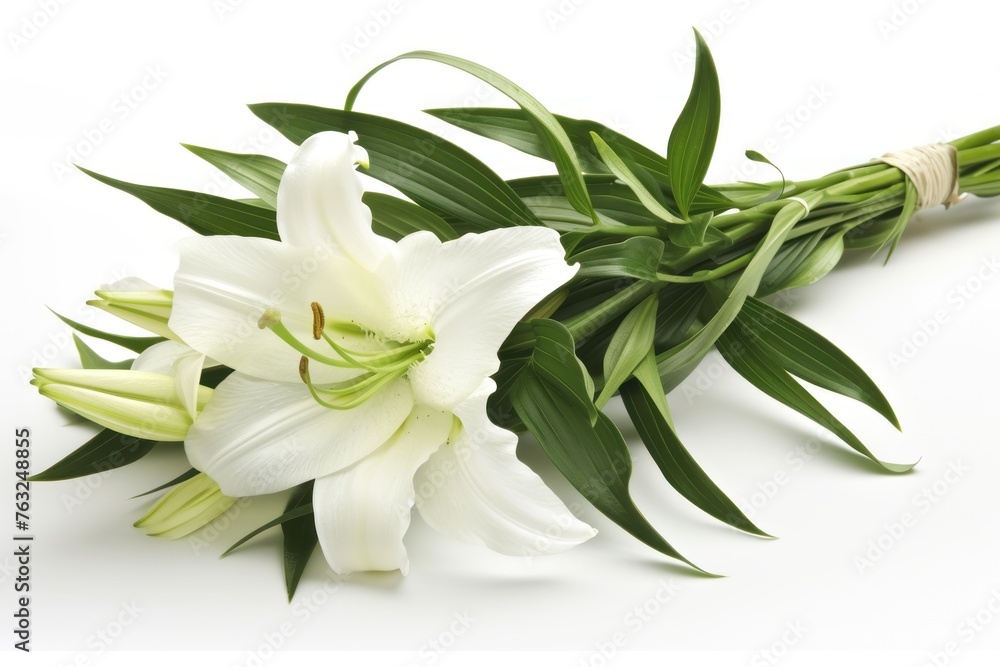 Blooming Easter lily on a white background, suitable for spring holiday themes or botanical educational materials
