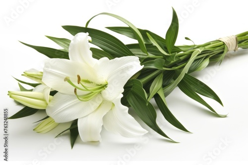 Blooming Easter lily on a white background, suitable for spring holiday themes or botanical educational materials