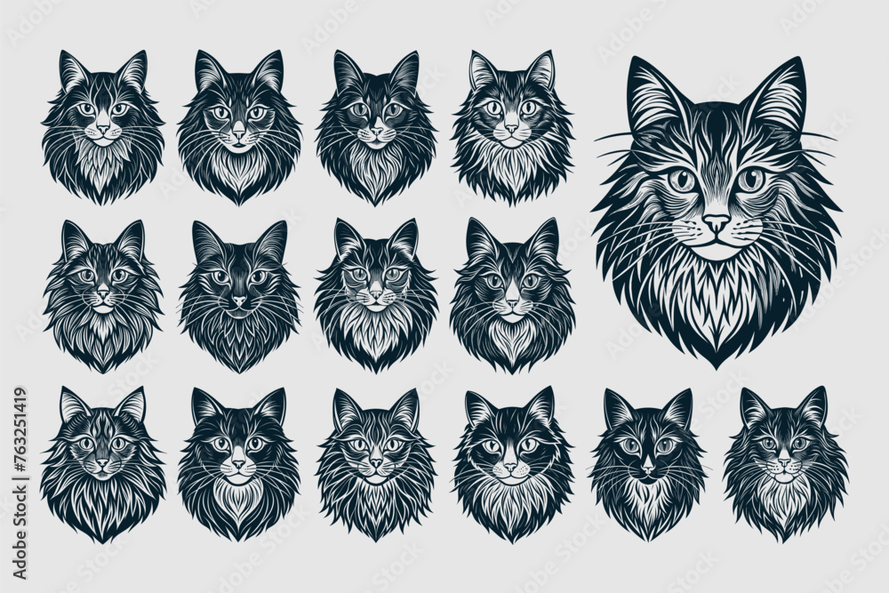 Portrait of hand drawing norwegian forest cat head design vector set