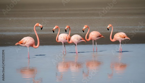 A Group Of Flamingos Foraging In Shallow Water Upscaled 2