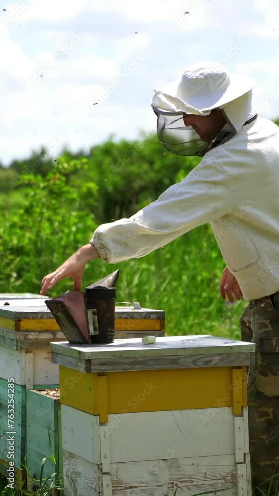Apiarist examining bees. Beekeper works at apiary on beautiful nature background. Rows of beehives on green grass. Bees collecting honey. Vertical video Apiarist examining bees. Beekeper works at apiary on beautiful nature background. Rows of beehives on green grass. Bees collecting honey. Vertical video