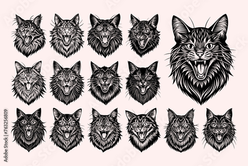 Collection of fun meowing maine coon cat head tshirt design