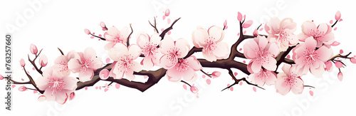 Branch with pink flowers painting