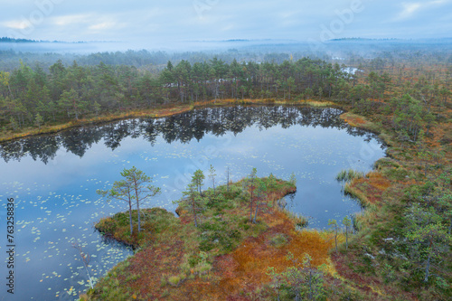 Aerial view of wetland with pine trees and reflections in Ozero Rybachye lake, Roschinskoe, Karelia, Russia. photo