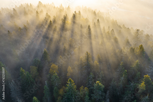 Aerial view of misty forest at sunrise, Karelia, Russia.