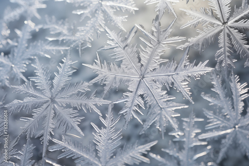 Intricate patterns of ice crystals intricately adorn a frost-covered surface