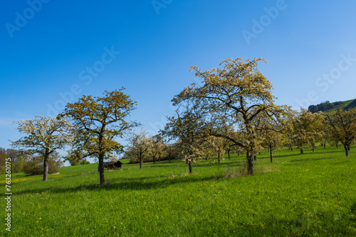 Hike up to Ehrenbürg, also called Walberla, one of the three holy mountains of the Franconians