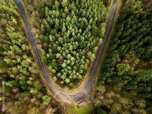 Aerial View of forest path, Kernen im Remstal, Germany. photo