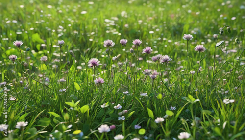 Clover and other wildflowers growing in a green meadow. Very detailed details. Generative AI.  