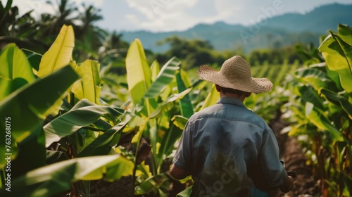 Farmer Working in Lush Banana Plantation