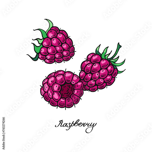 Three ripe pink raspberries. Color berries. Design of candies and sweet dessert . Vector illustration.