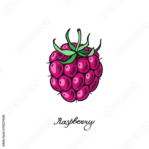 Ripe Pink Raspberry. Color berries. Design of candies and sweet dessert . Vector illustration.