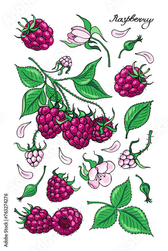 Pink Raspberries and Flowers. Poster design . Vector illustration.