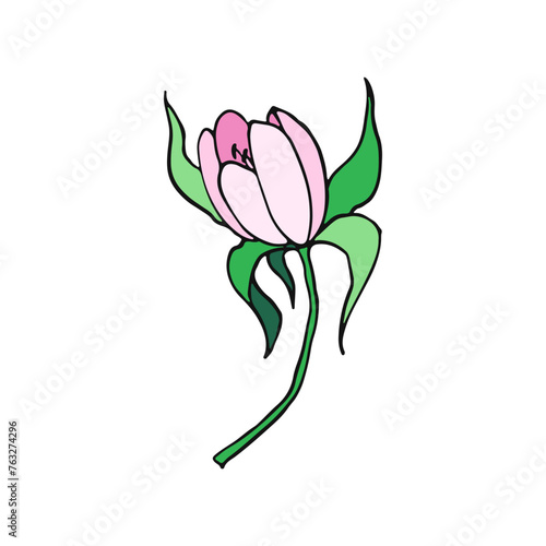 Big Pink Flower. Floral design. Hand drawn vector illustration