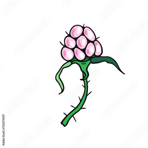 Small Pink Raspberry. Color berries. Design of candies and sweet dessert . Vector illustration.