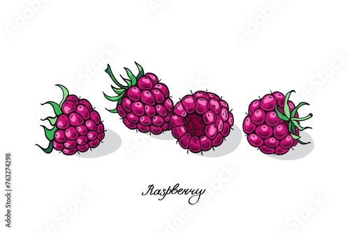 Four Ripe Pink Raspberries. Poster design. Vector illustration.