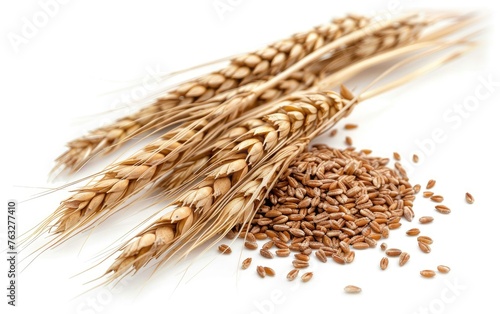 Portrait of wheat ears isolated on white background. Concept of food supply, carbs and nutrients. Generative AI