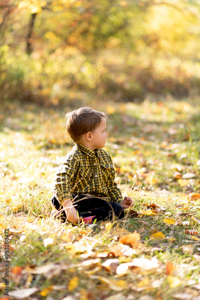 A small fair-haired cute boy in a checkered yellow shirt is sitting on a lawn in the middle of an autumn forest.. A small fair-haired cute boy in a checkered yellow shirt is sitting on a lawn in the middle of an autumn forest..