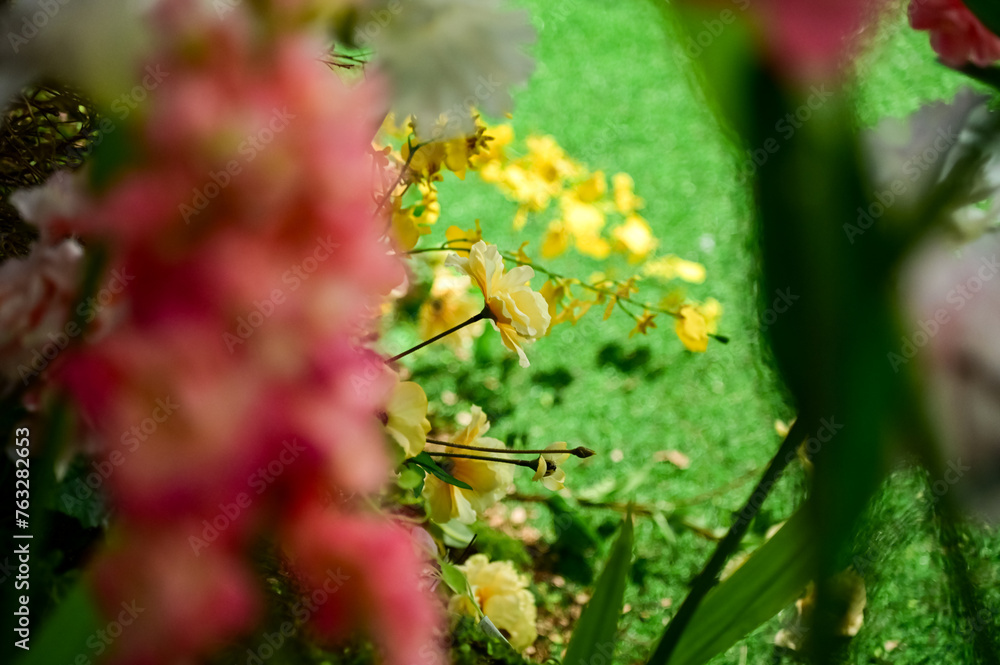 Yellow wild flowers in garden. Yellow flowers in the street. Nature scene. Flower and plant. Yellow wild flowers in garden. Yellow flowers in the street. Nature scene. Flower and plant.