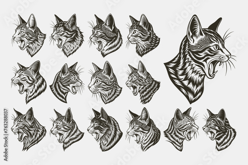Adorable side view meowing american bobtail cat head illustration set