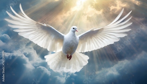Holy Spirit  White Dove with Open Wings in the Clouds