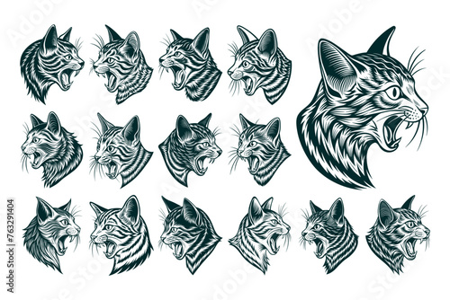 Drawing of side view meowing american curl cat head design template set