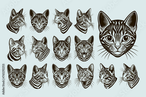 Detailed front view american shorthair cat head illustration design set