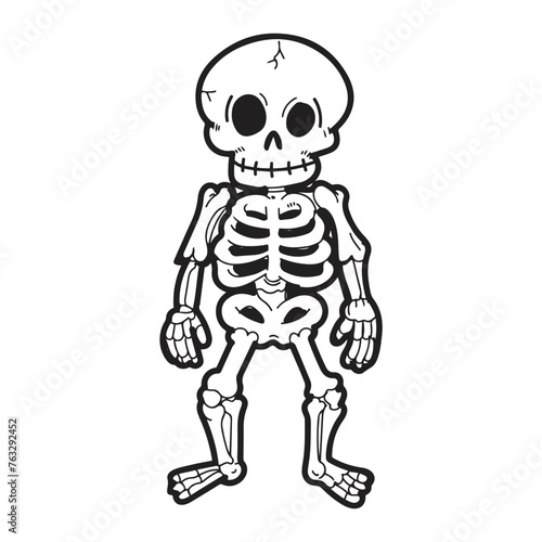 human skull with a skeleton cartoon. vector illustrations. simple design outline style.