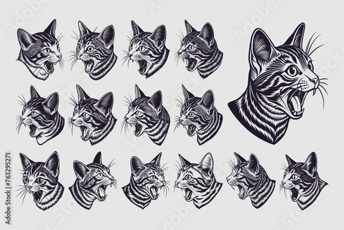 Collection of side view meowing american wirehair cat head design photo